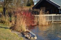 Die Natur malt Bilder