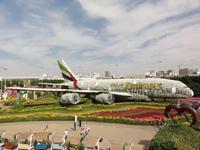 Dubai Miracle Garden