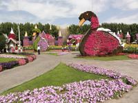 Dubai Miracle Garden