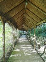 Ausflug Silves und Monchique