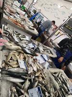 Ausflug Faro bis Tavira und zur spanischen Grenze