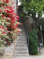 Ausflug Faro bis Tavira und zur spanischen Grenze