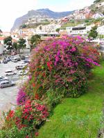 Câmara de Lobos