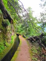 Wanderung an der Levada da Ribeira da Janela