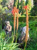 Palheiro Garden