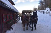 022  Rückfahrt von der Pritzhütte