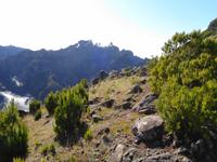 Wanderung von Achada do Teixeira zum Pico Ruivo 