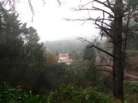 Wanderung an der Levada da Serra do Faial