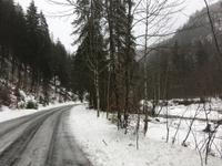 Wanderung im Kaiserbachtal