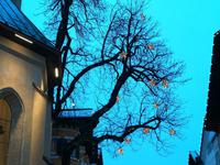 Spaziergang durch Kitzbühel