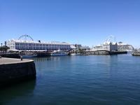 IMG_20181231_143631