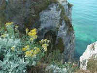 Steilküste am Ärmelkanal