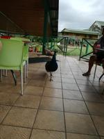 IMG_20190106_125652