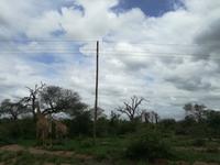 IMG_20190107_142241_1