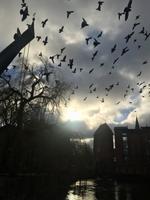 Tag 2 - Alter Kran, Ilmenau und Tauben