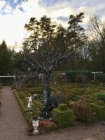 Tag 2 - Ebereschen-Eisen-Glocken-Baum