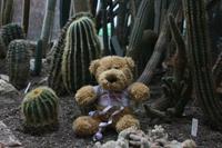 Autsch - hab mich auf ein Kaktus gesetzt