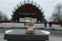 so eine schöne Bühnenmuschel