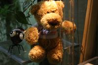 so viele fleißige Ameisen