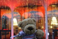 Vor dem Maritim Hotel