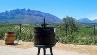 Weinprobe in Paarl