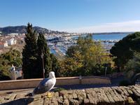 Cannes Blick auf den Hafen