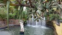 AIDAcara, Madeira, Funchal