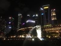 Singapur bei Nacht - Merlion