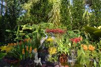 Stadtrundfahrt Singapur - Orchideengarten