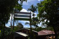 Spaziergang durch Kuranda