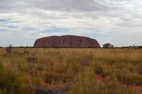 Fotostopp mit Blick zum Uluru