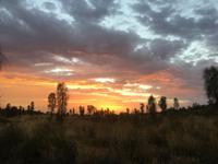 Sonnenaufgang am Uluru