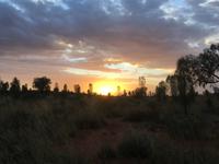 Sonnenaufgang am Uluru