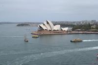 Spaziergang über die Harbour Bridge - Blick aufs Opernhaus