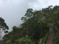 Ausflug in die Blue Mountains