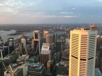 Blick vom Sydney Tower