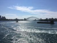 Die Kreuzfahrt geht los - Ausfahrt aus dem Sydney Harbour (Port Jackson)