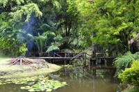 Suva - Ausflug zum Arts Village