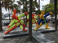 Zurück in Sydney - Vorbereitung auf das Chinese New Year Festival