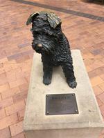 Zurück in Sydney - The Rocks