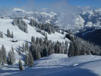 Hahnenkamm