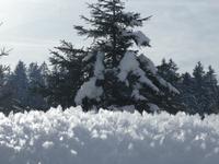 Wanderung zur Einsiedelei Maria Blut