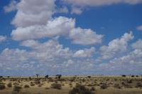 Unterwegs in Namibia
