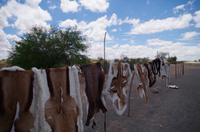 Unterwegs in Namibia