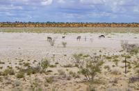 Unterwegs in Namibia