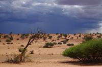 Rundfahrt in der Kalahari - Regenwolken