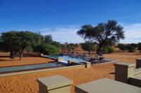 Zebra Lodge bei Mariental
