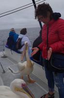 Walvis Bay - Bootsfahrt