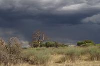 Nature Drive am Nachmittag - Regenwolken