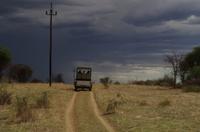 Nature Drive am Nachmittag - Regenwolken